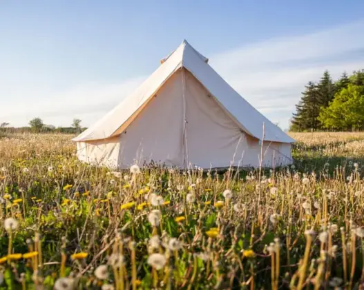 Glamping hos Holmely